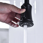 Dual Handle Pull-Down Faucet