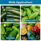 Green Pepper Core Remover