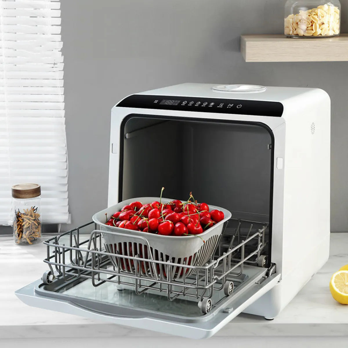 Portable Dual-Use Mini Dishwasher