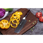 Damascus Six-Piece Chef Knife Set