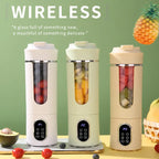 Portable Rechargeable Juice Blender (450ml)